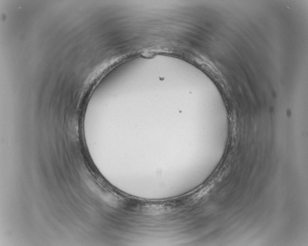 X0000058120298200510212027