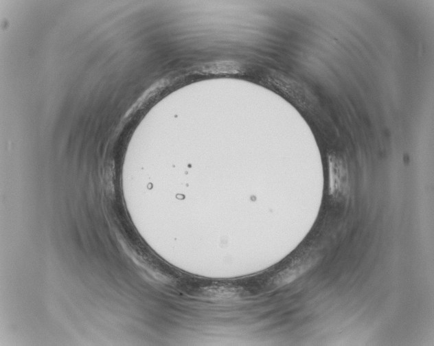 X0000058120300200510212027