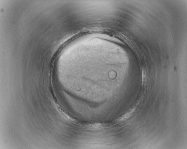 X0000058120301200510212027