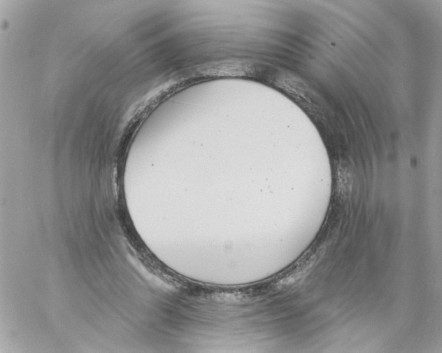 X0000058120302200510212027