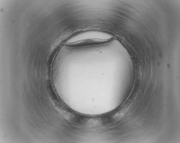 X0000058120303200510212027