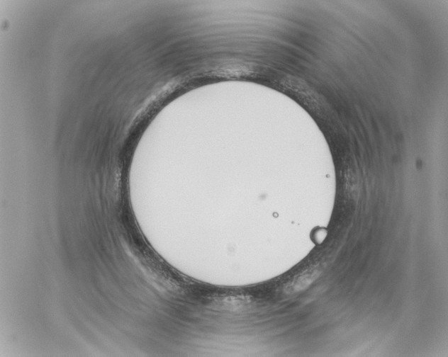 X0000058120304200510212027