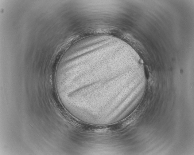 X0000058120306200510212027