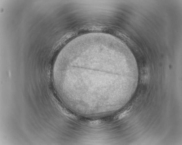 X0000058120309200510212027