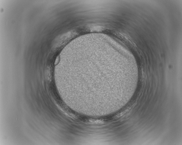 X0000058120311200510212027