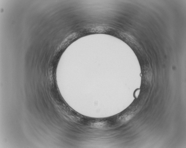 X0000058120312200510212027