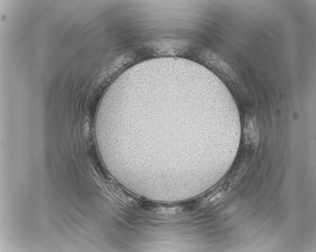 X0000058120314200510212027