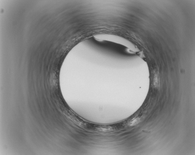 X0000058120317200510212027