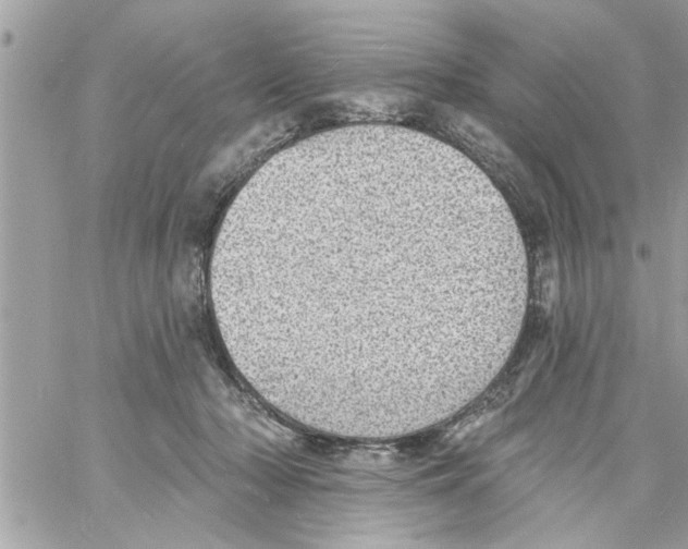 X0000058120318200510212027