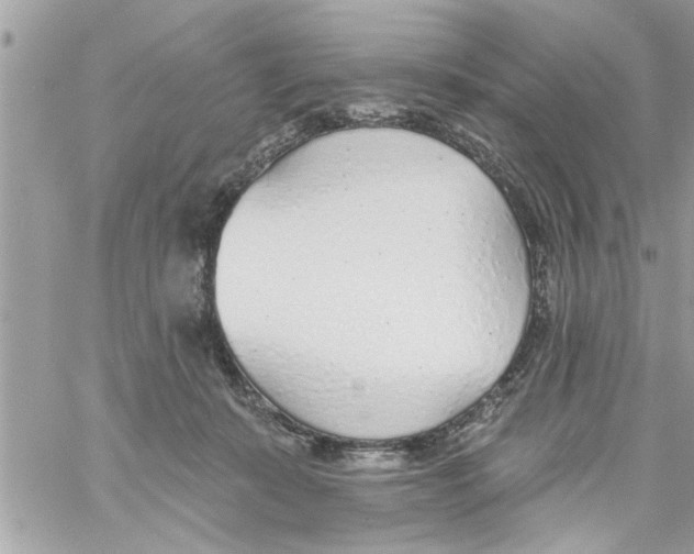 X0000058120319200510212027