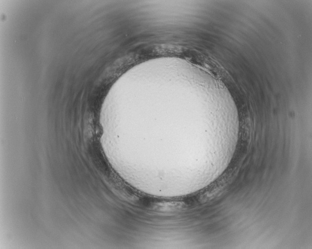 X0000058120323200510212027