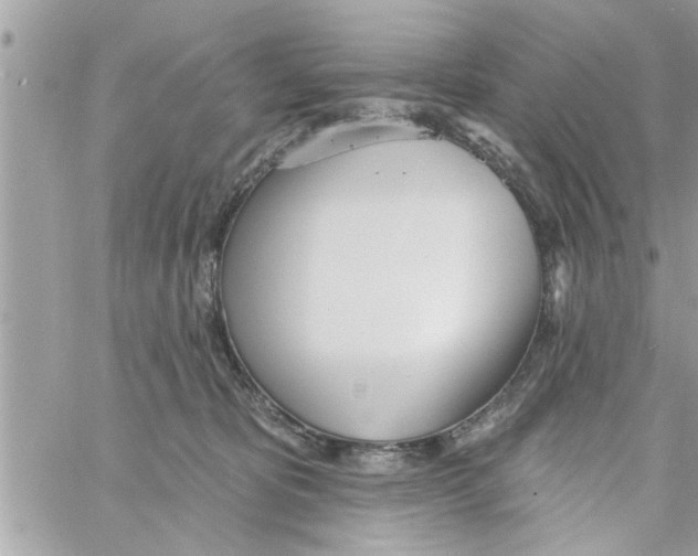 X0000058120325200510212027