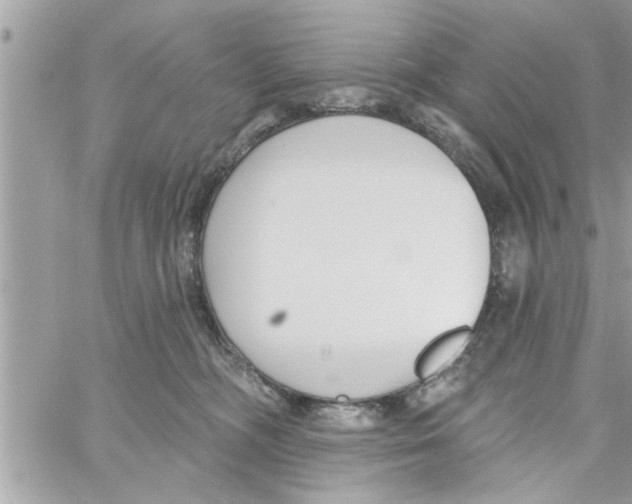 X0000058120326200510212027