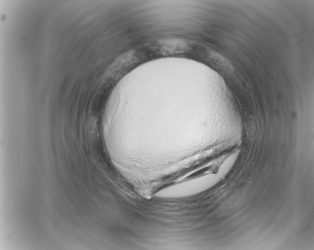 X0000058120327200510212027