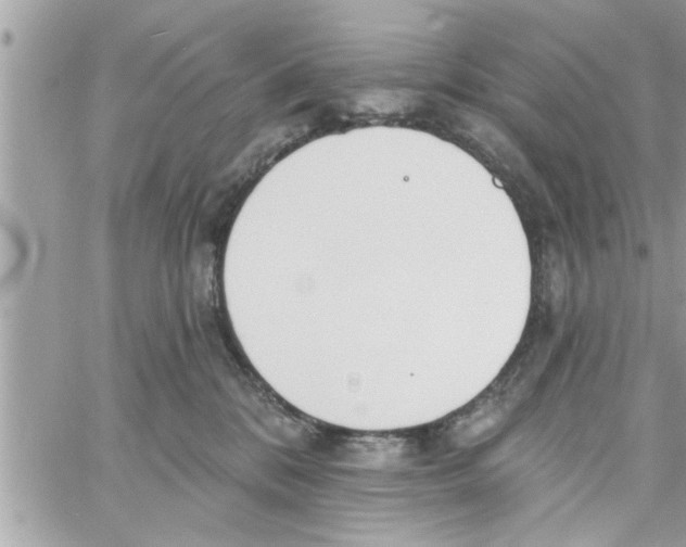 X0000058120328200510212027