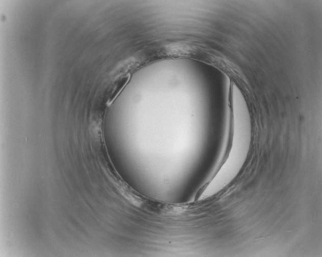 X0000058120329200510212027