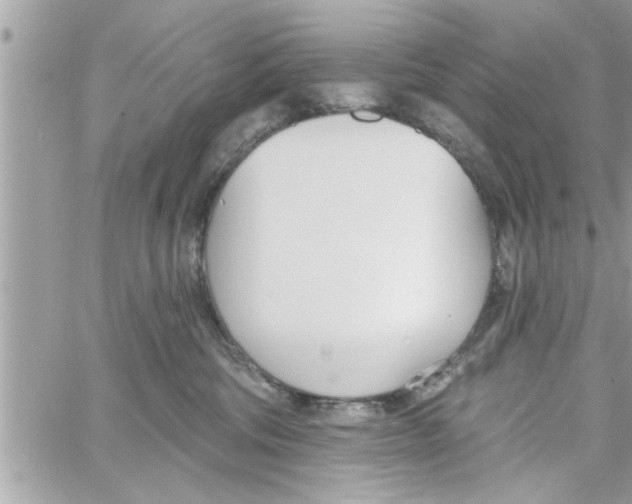 X0000058120330200510212027