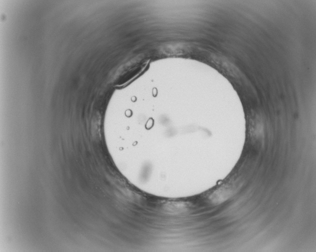 X0000058120332200510212027