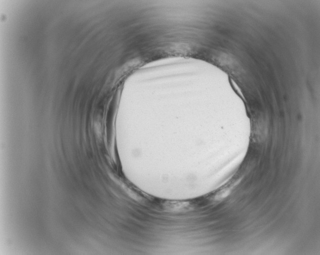 X0000058120334200510212027