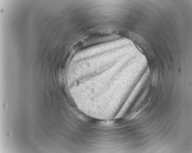 X0000058120335200510212027