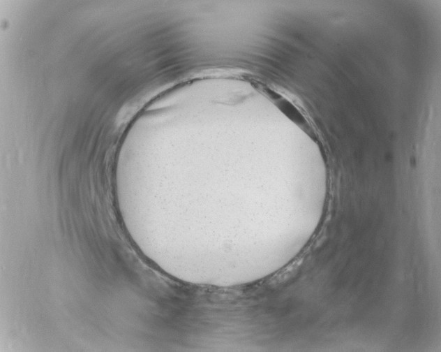 X0000058120337200510212026