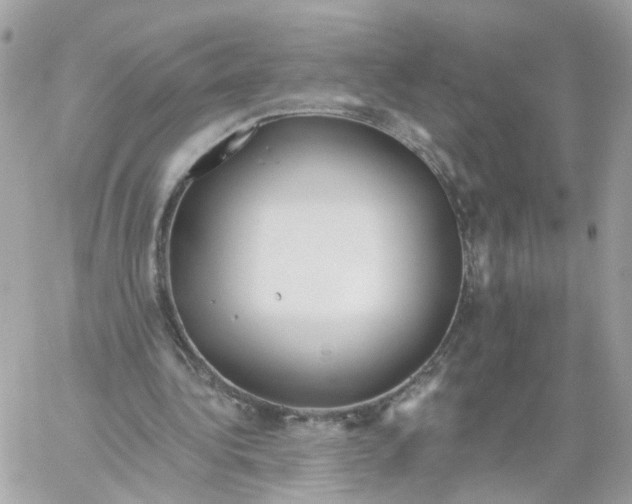 X0000058120340200510212026