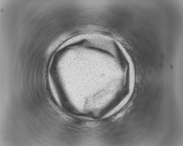 X0000058120341200510212026