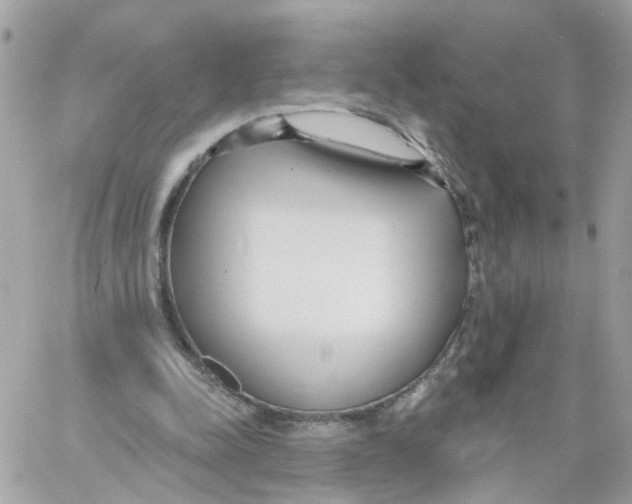 X0000058120342200510212026