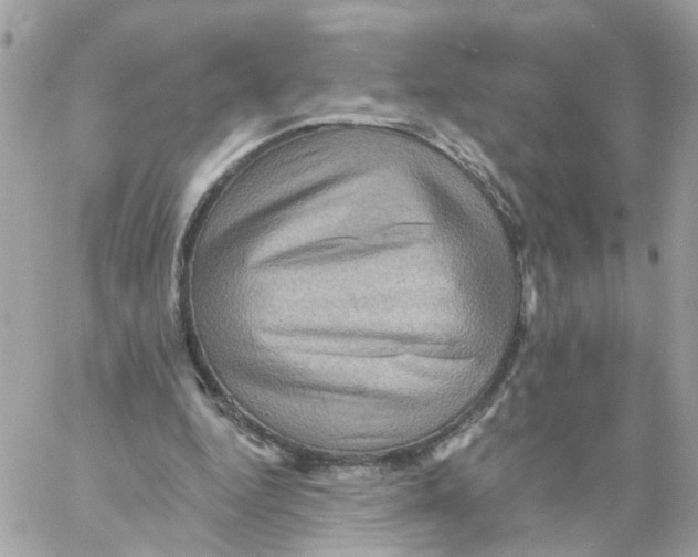 X0000058120344200510212026