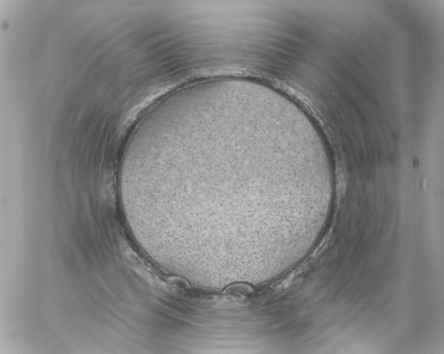 X0000058120345200510212026