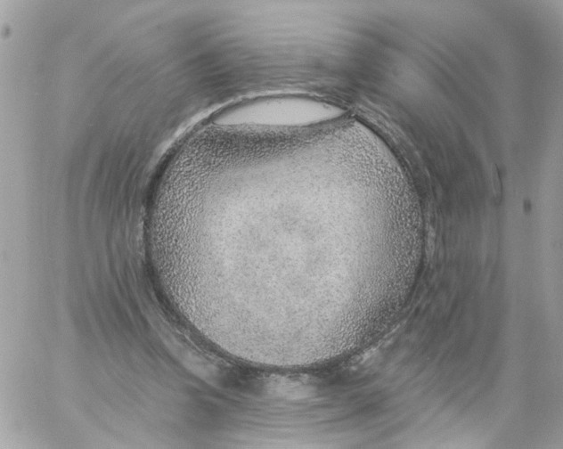 X0000058120346200510212026