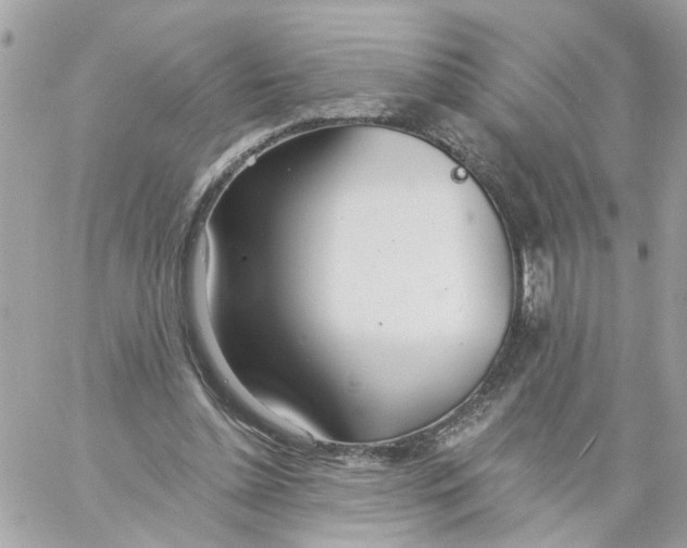 X0000058120348200510212026