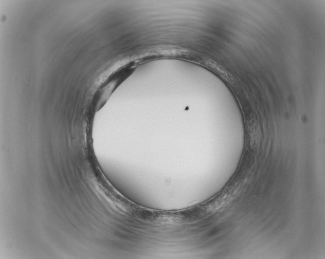 X0000058120350200510212026