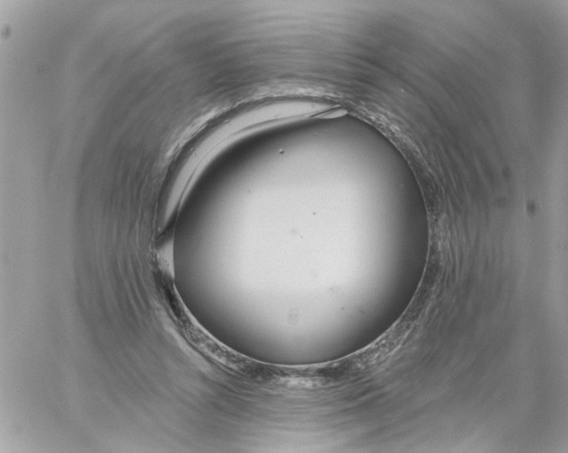 X0000058120352200510212026