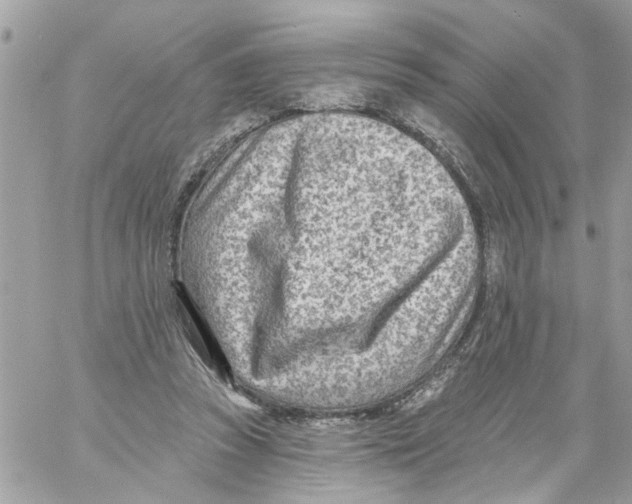 X0000058120353200510212026