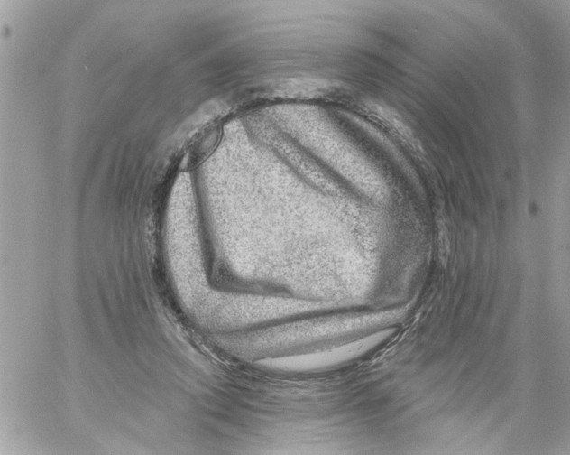 X0000058120354200510212026