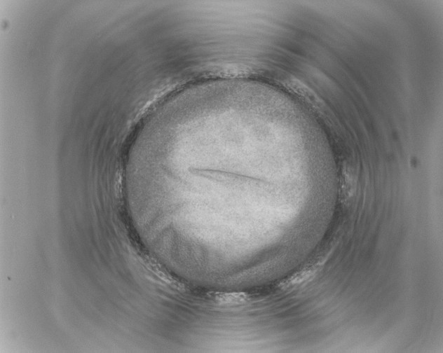 X0000058120355200510212026