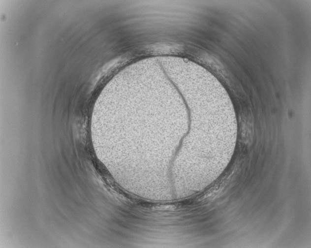 X0000058120357200510212026