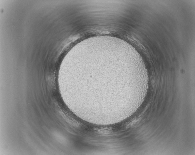 X0000058120359200510212026