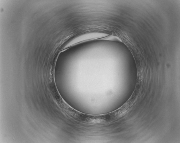 X0000058120360200510212026