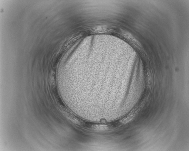 X0000058120361200510212026