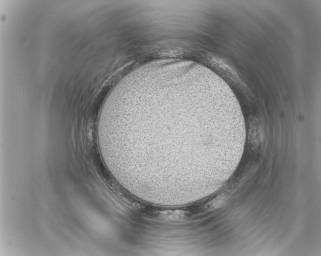 X0000058120363200510212026