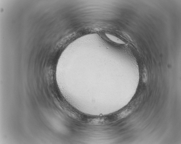 X0000058120366200510212026