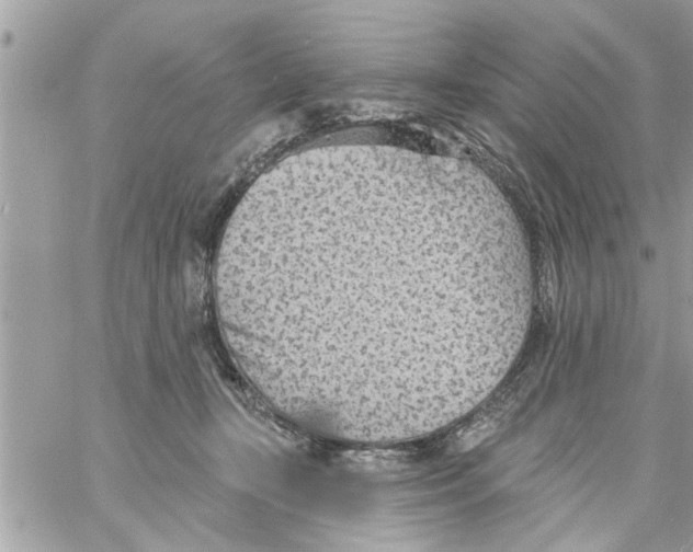 X0000058120367200510212026