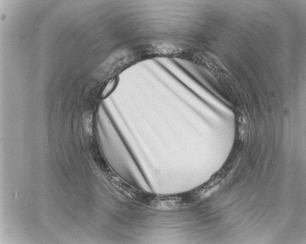 X0000058120368200510212026