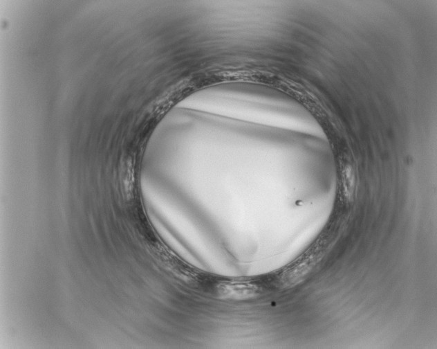 X0000058120372200510212026