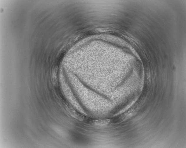 X0000058120373200510212026