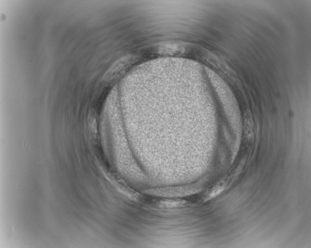 X0000058120375200510212026