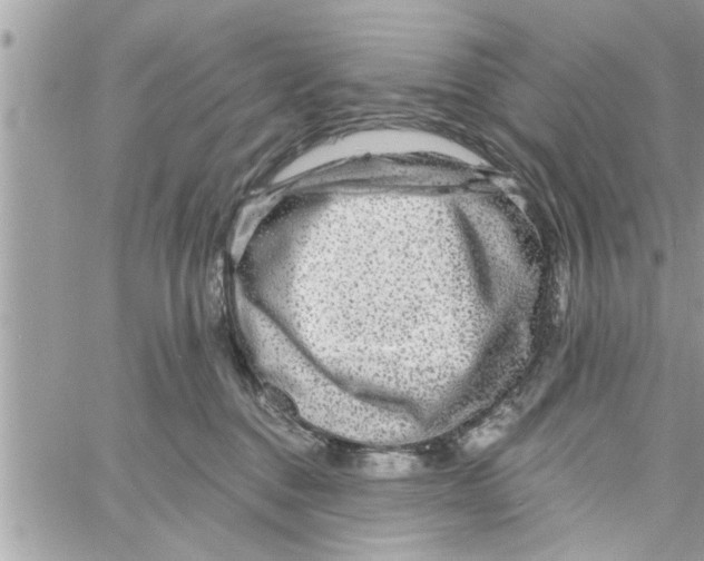 X0000058120376200510212026