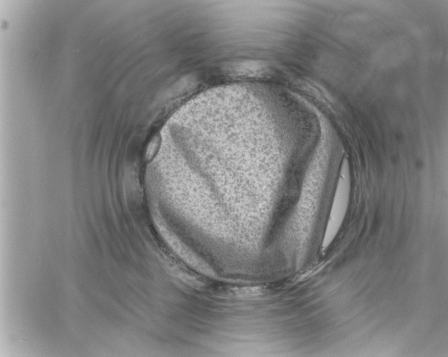 X0000058120377200510212026